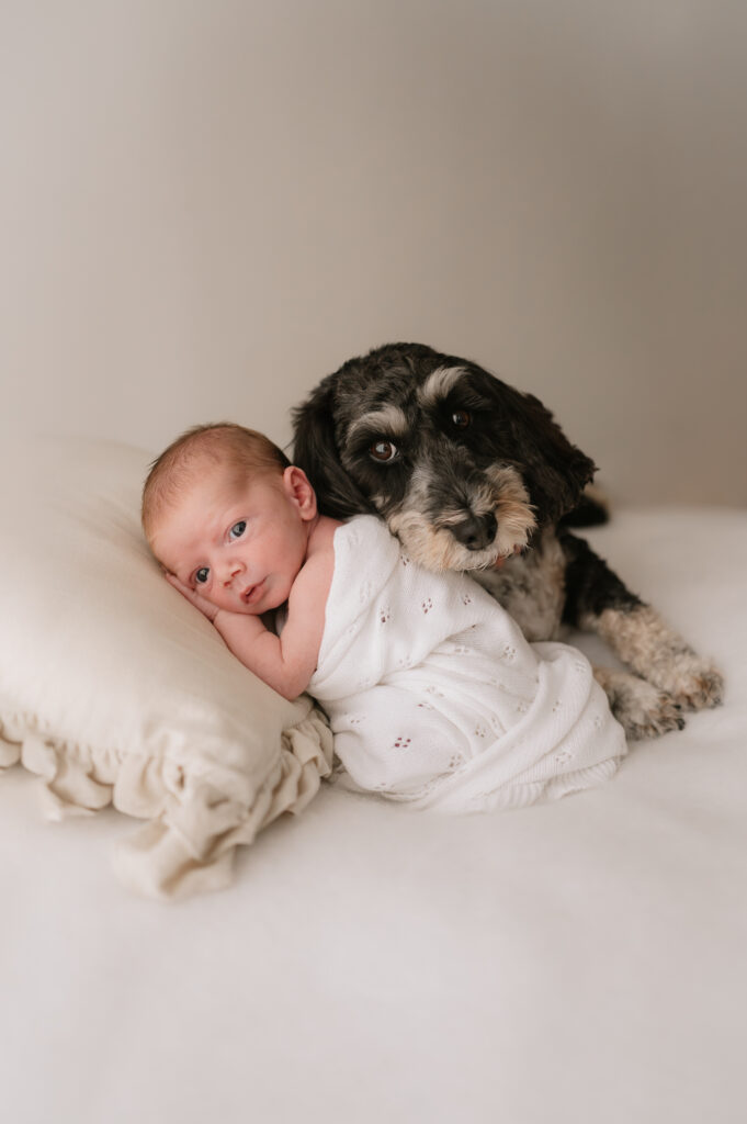 baby boy and his dog brother